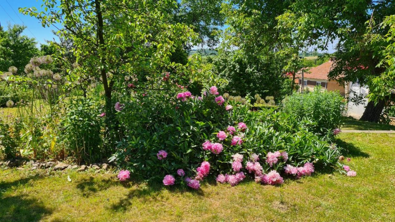 Holiday home Rozsa